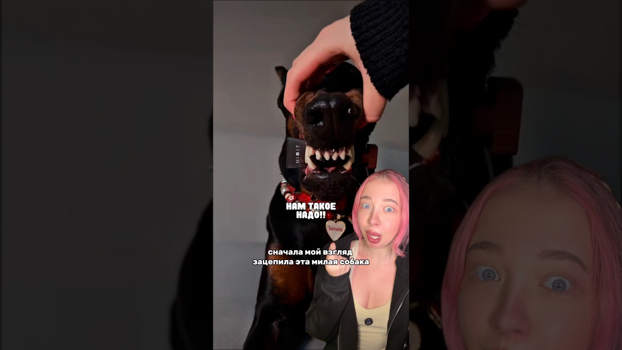 ну кааак вкусно выглядит!!!😭😍 оттенок вау! вб #WW311347, озон #3302491332