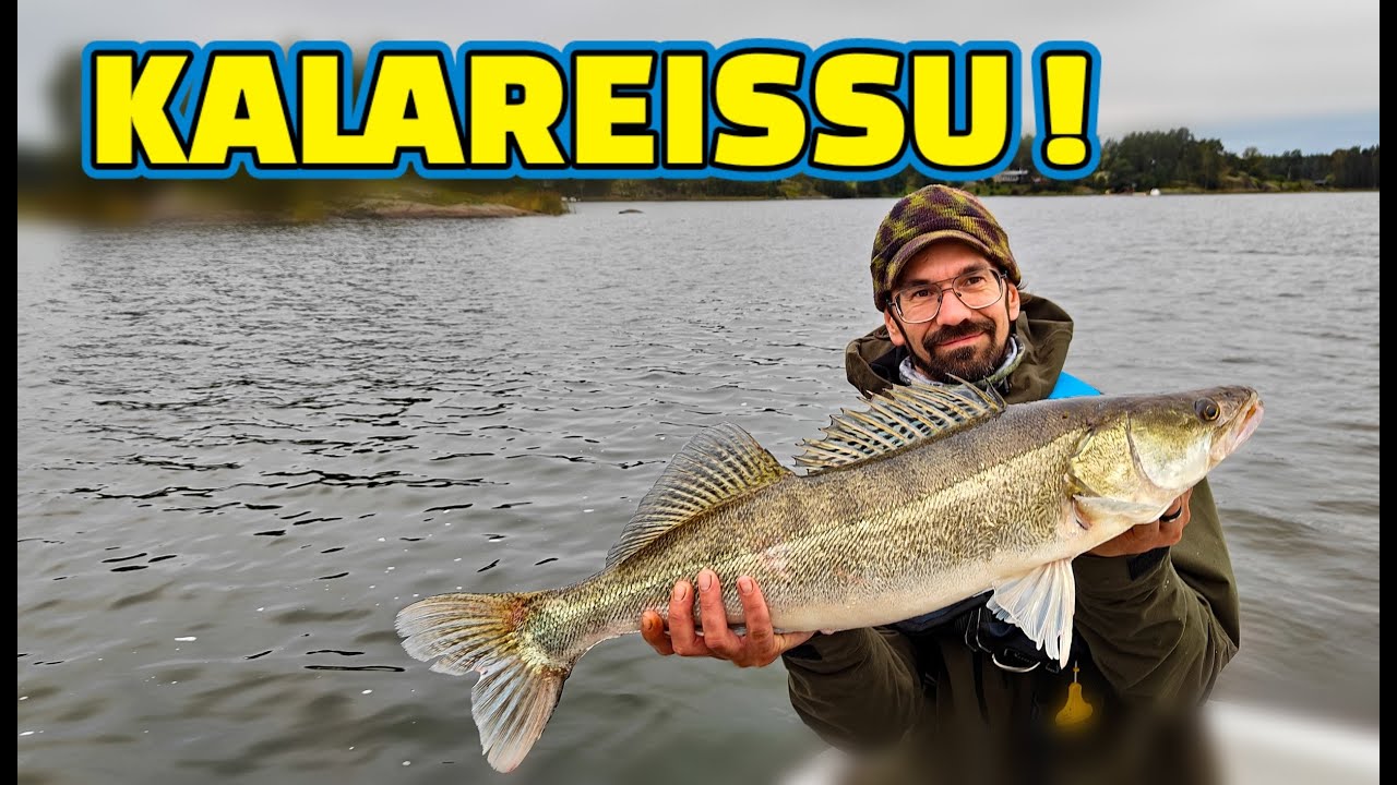 KALAREISSU | Ahvenen ja kuhan kalastusta. #kalastus #ahvenenkalastus #kuhankalastus