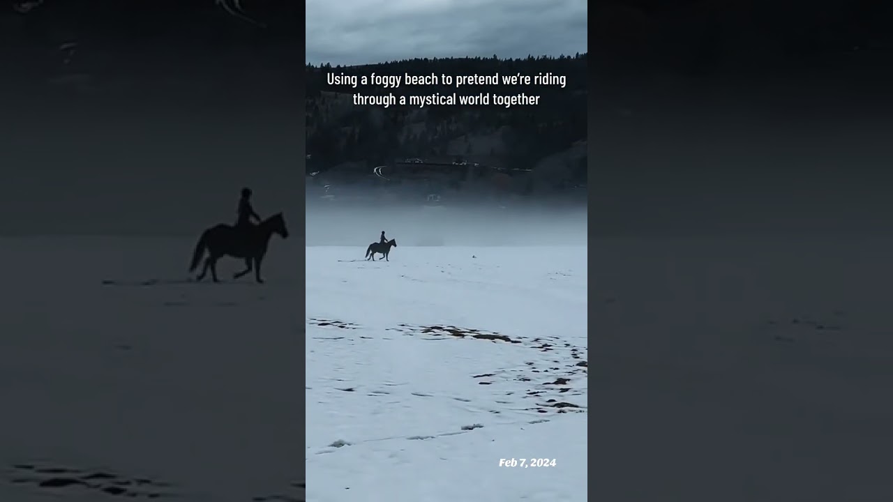 This beach always had the most gorgeous scenery for rides 😍 #horselife #throwback #magical #fantasy