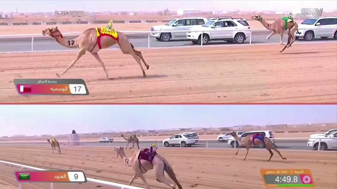 جديد وحصري الصعب حمد جارالله البريدي -كلمات سعيد بن عبدالله البريدي اداء مسفر السندوانه