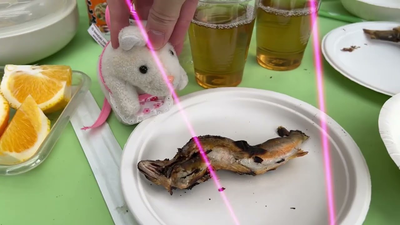 山奥に修行！！！