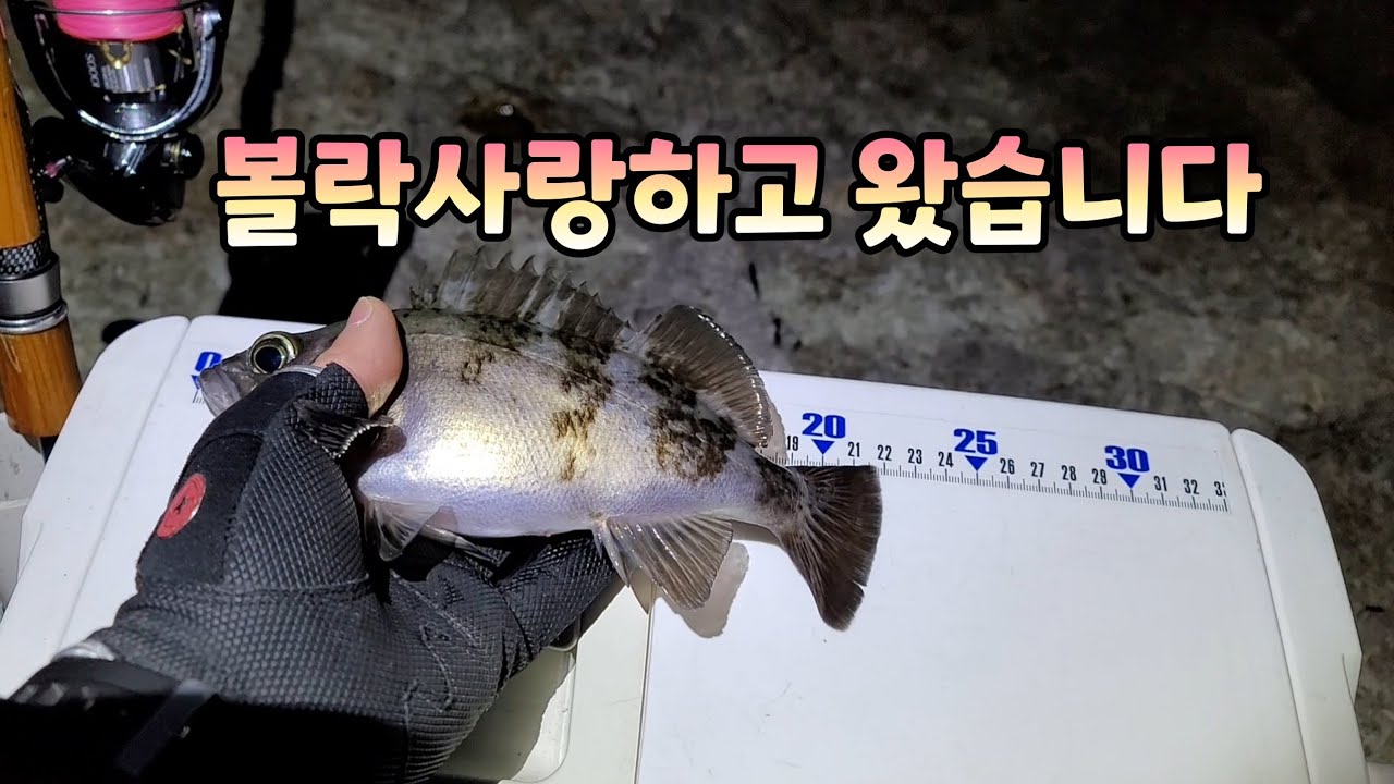 겨울 캠핑 볼락 낚시 (추워요 ㅎㅎㅎ)