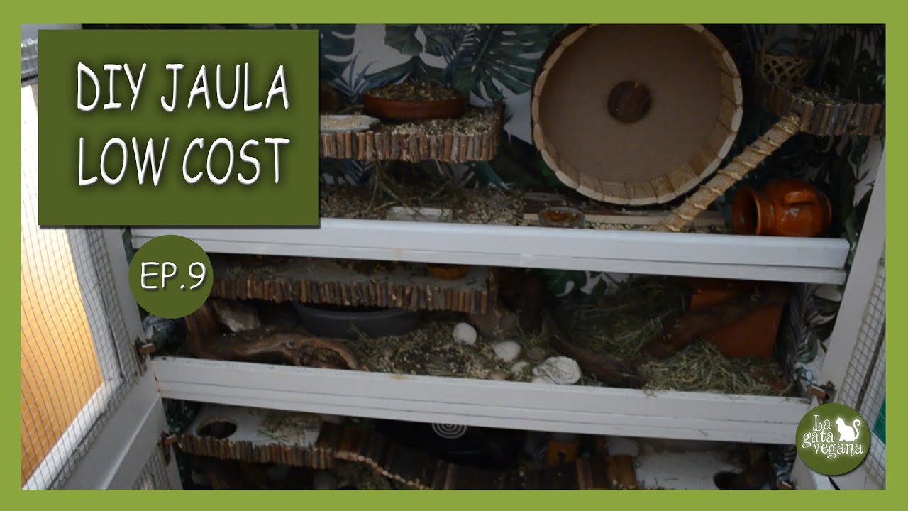 JAULA CASERA LOW COST PARA HÁMSTERS  EP 9 | MATERIALES NATURALES NO TÓXICOS PARA HÁMSTERS