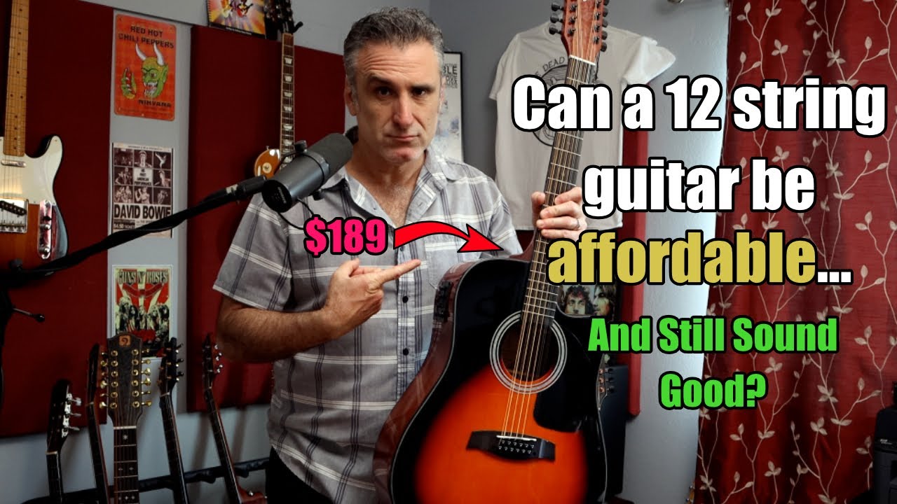 Fesley 12 string guitar review