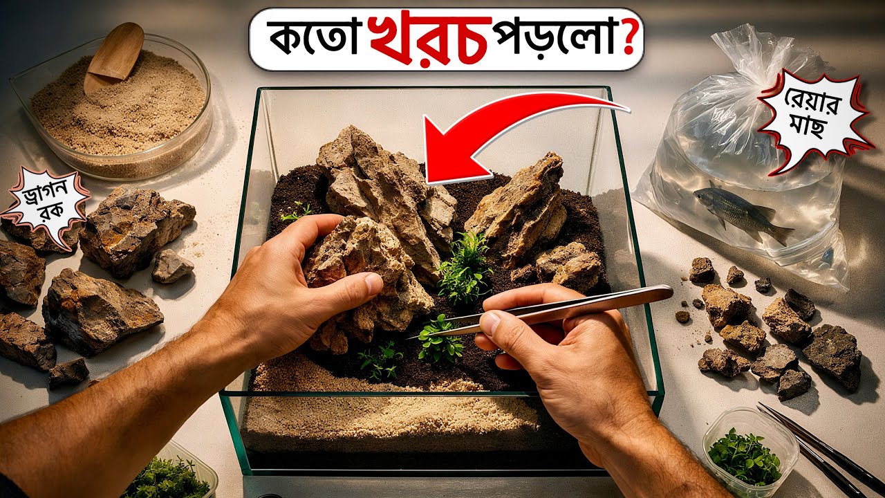 বাজেটের মধ্যে কী আদৌ অ্যাকোয়াস্কেপ করা সম্ভব ❓॥ Inside Aquarium 