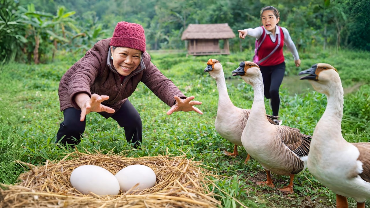 I caught mother-in-law sneaking onto my property to steal my goose eggs. Should I tell my husband?