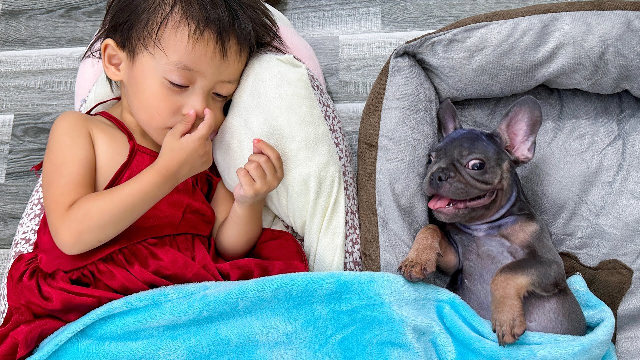 See how happy baby Diem and dog Mun sleep together
