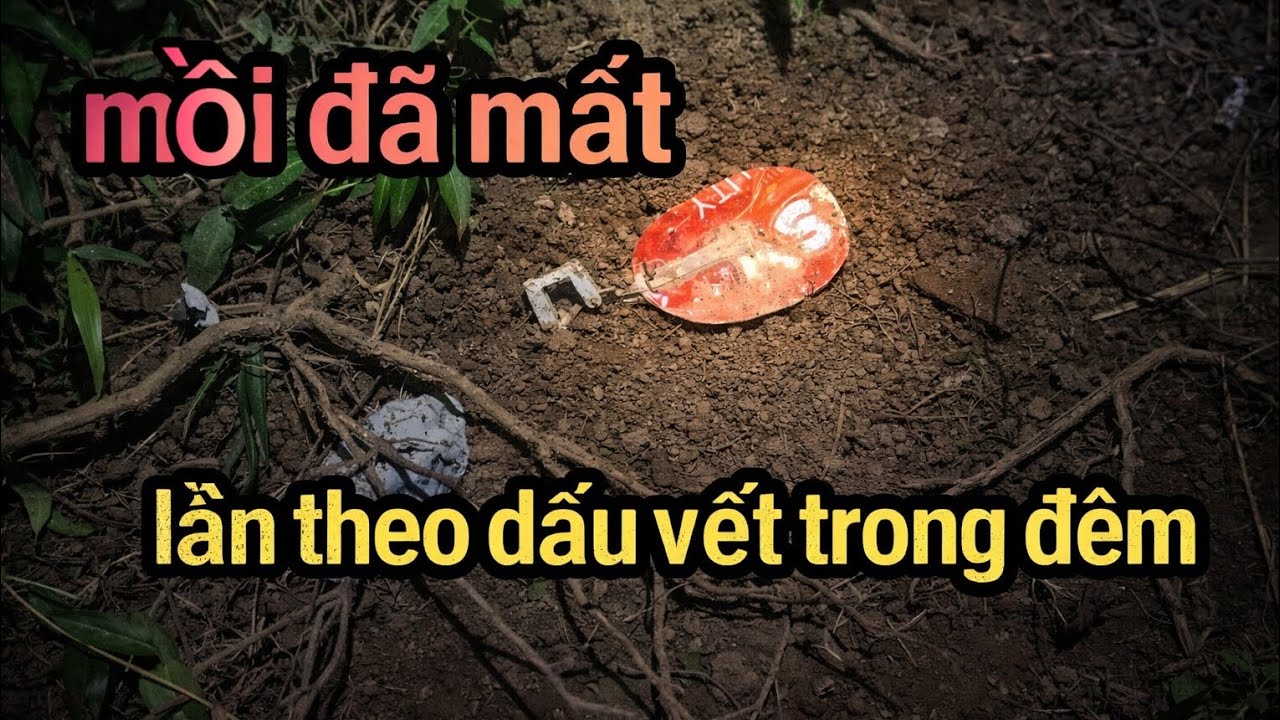 [nhật ký rừng sâu]#30 MỒI BIẾN MẤT TRONG ĐÊM .KẺ NÀO ĐÃ LẤY?. Sinh tồn hoang dã #survival #nature 