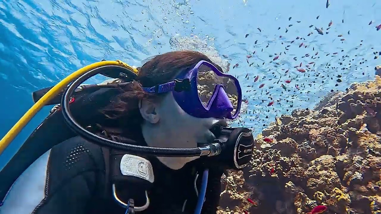 Jackson Reef, Straits of Tiran