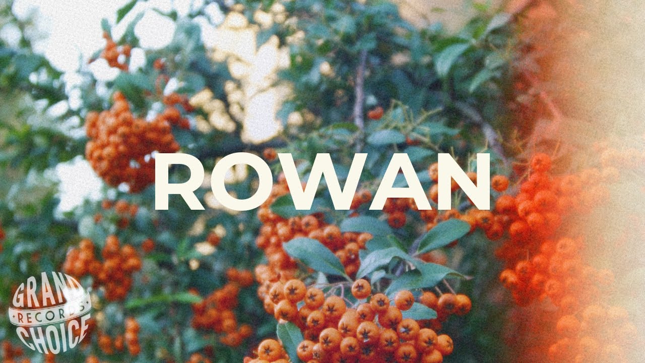 Rowan Visualizer