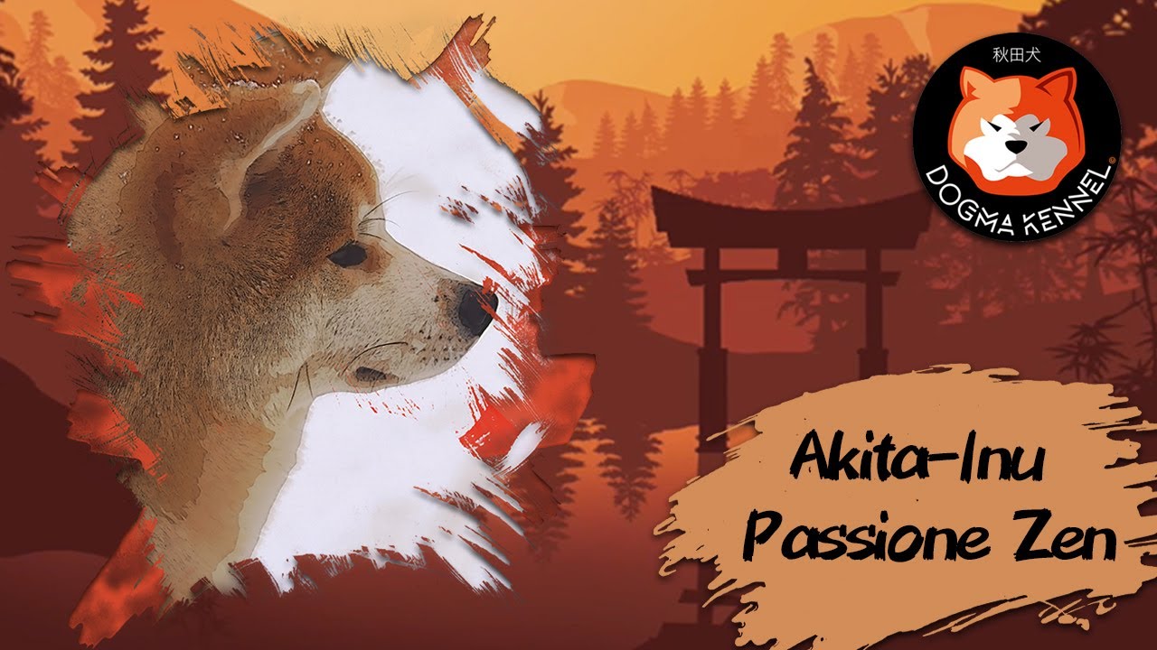 Akita-Inu: Passione zen - La fantastica storia dell'allevamento Dogma Kennel