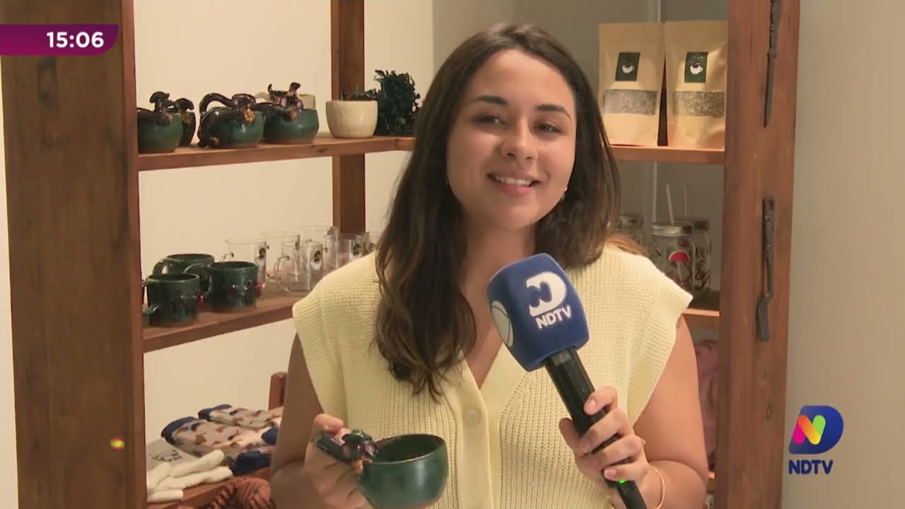 Pomerode: conheça a primeira cafeteria temática de cachorro salsicha
