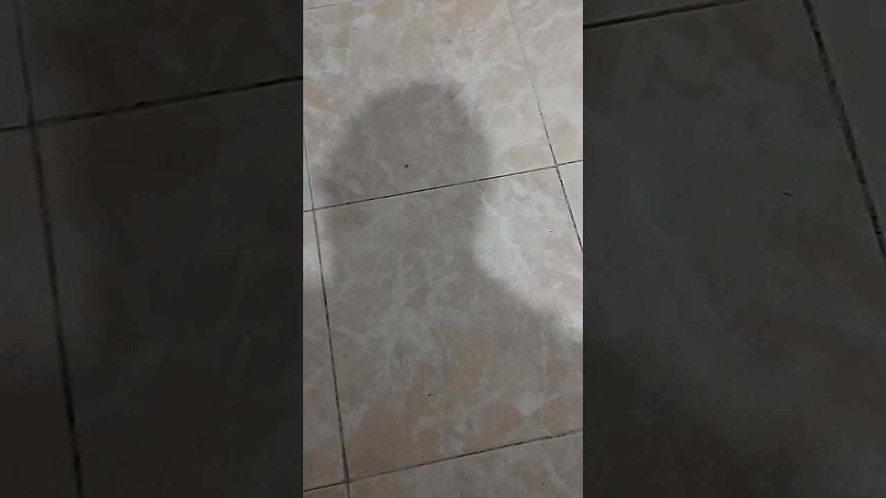 ما معنى كلمة قاعدة في التغريد