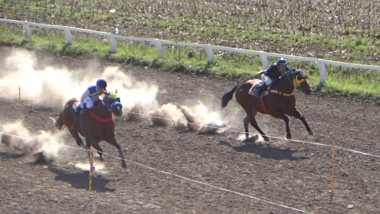 Claudioturf Hipódromo de Gálvez: Misterioso, Bandido, Yiyi 14.09.2025