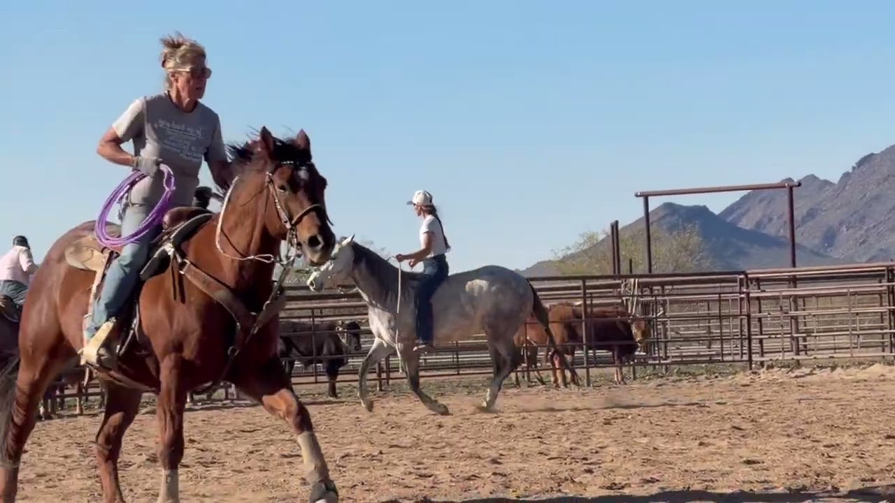 LIL PEPPY CAT RJR RANCH   HD 1080p