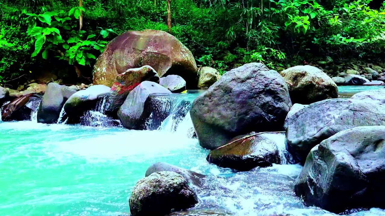 Peaceful River & Birdsong ASMR: Natural Relaxation for Rest Yoga & Study