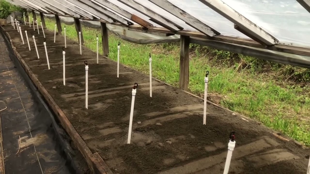 New misting system for rooting lots of cuttings!