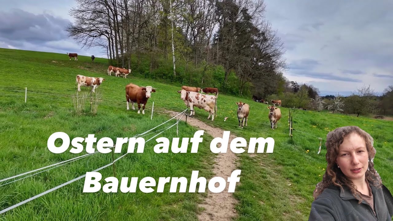 Ostern mit den Tieren