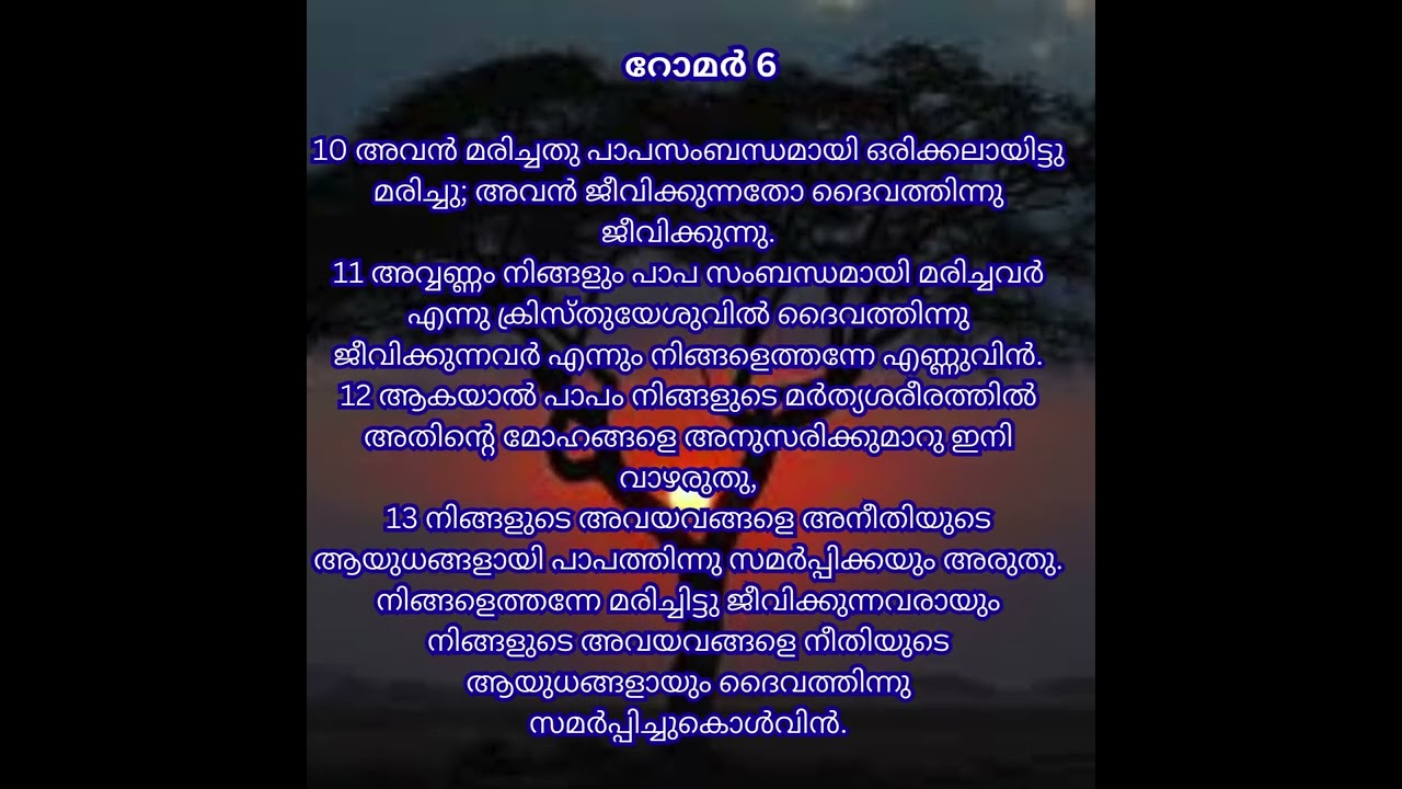 റോമർ 06