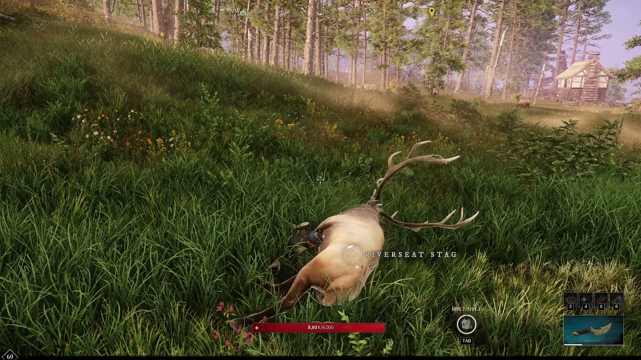 New World - 1.5k RawHide every 6 min + a visual bug
