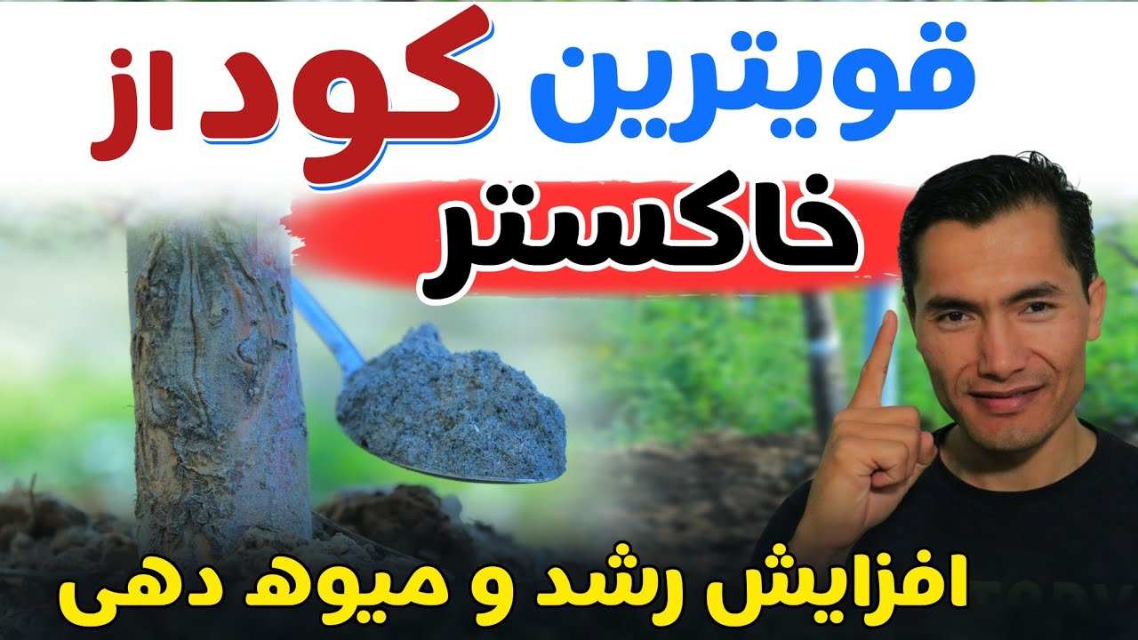 خاکستر را دور نریز: قویترین کود طبیعی که رشد و میوه را دوبرابر می‌سازد