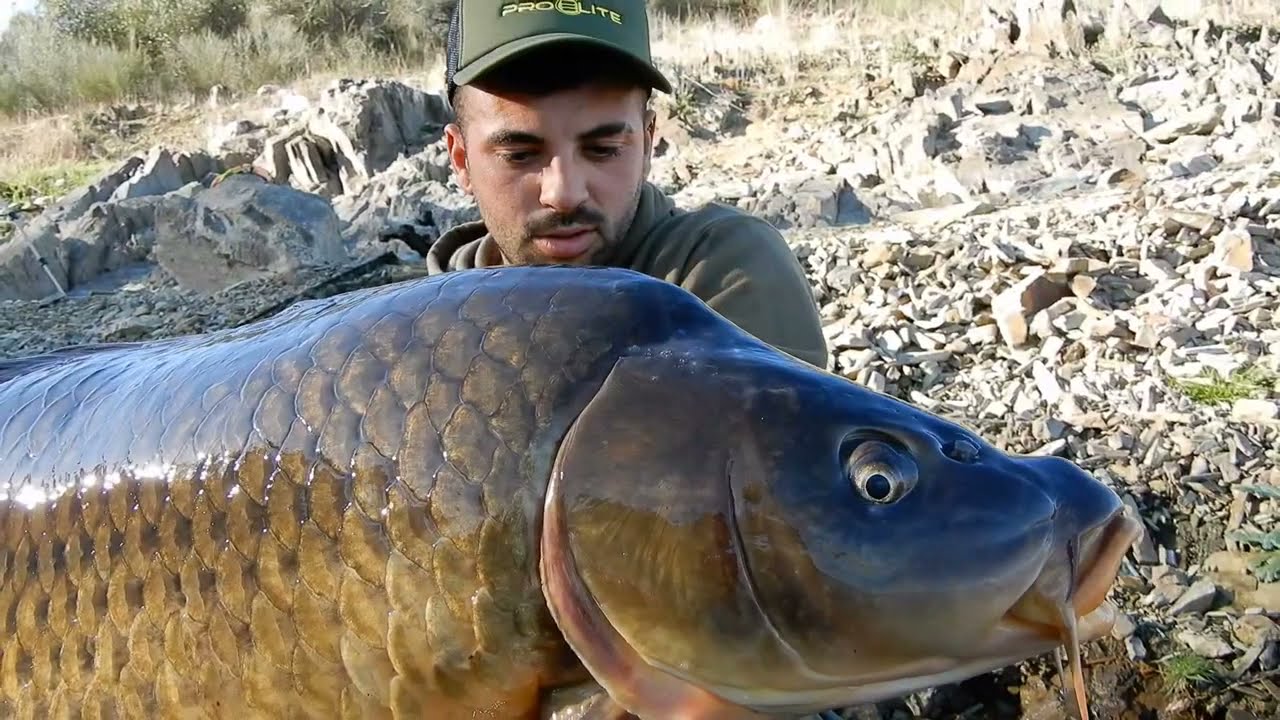 Carpfishing (Orellana Invernal) Parte 1