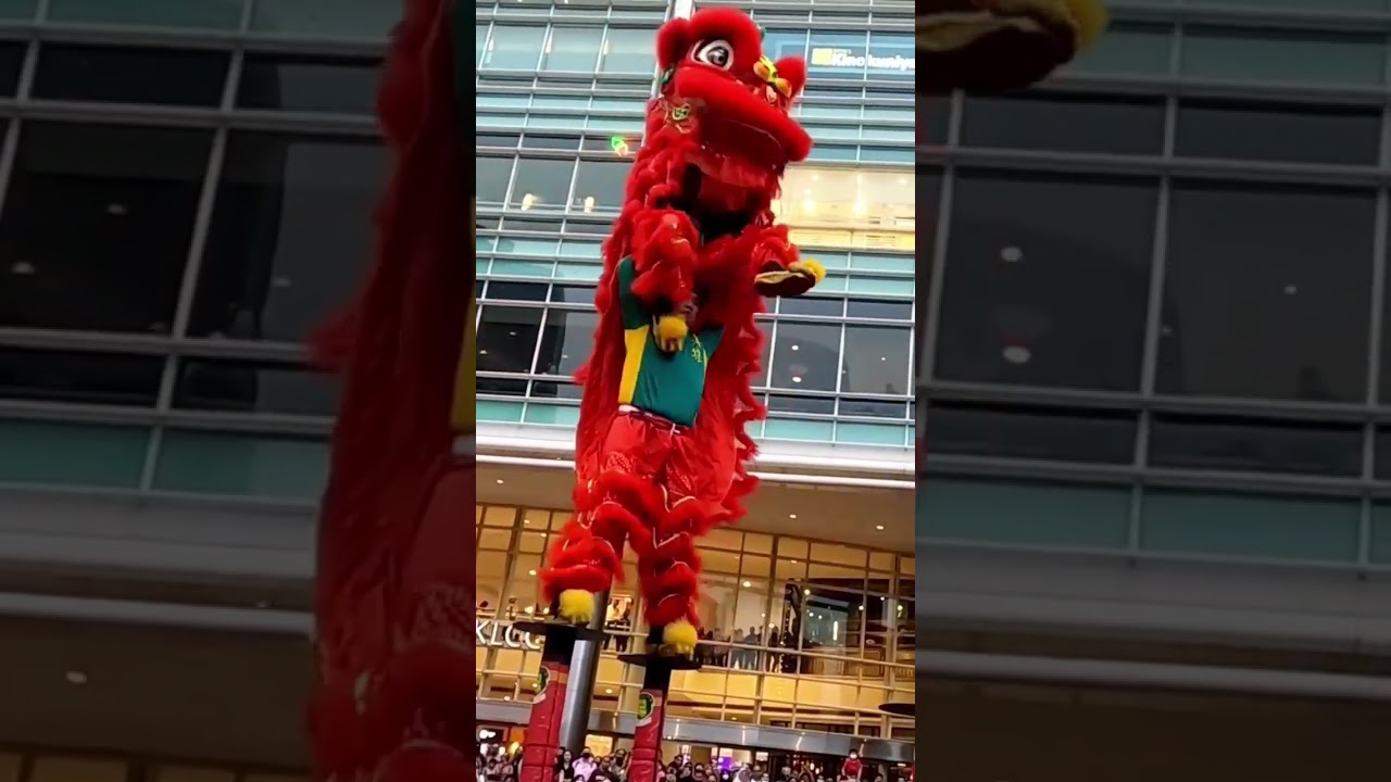 2023 Chinese New Year Lion Dance #liondance #舞獅 #舞狮表演 #醒獅  #tariansinga #cny2023 #lion