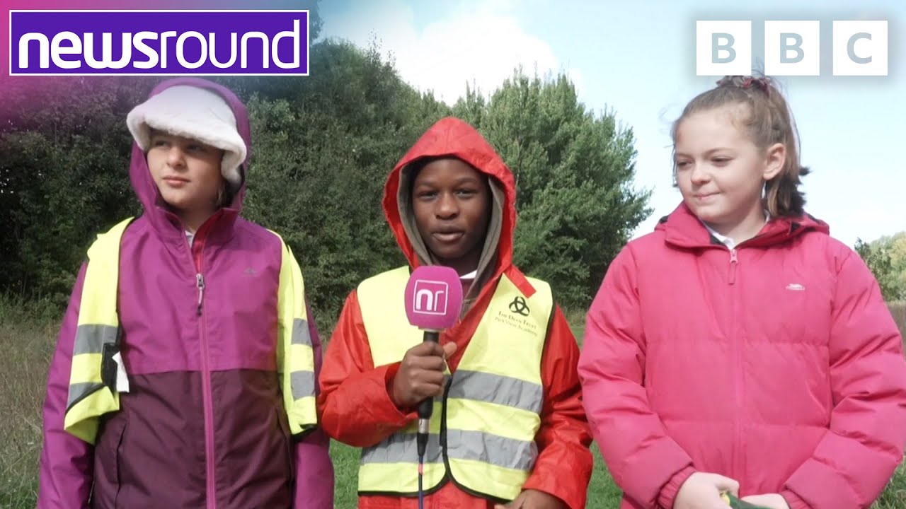What Wildflowers Grow in Your Local Area? 🌺 | Newsround