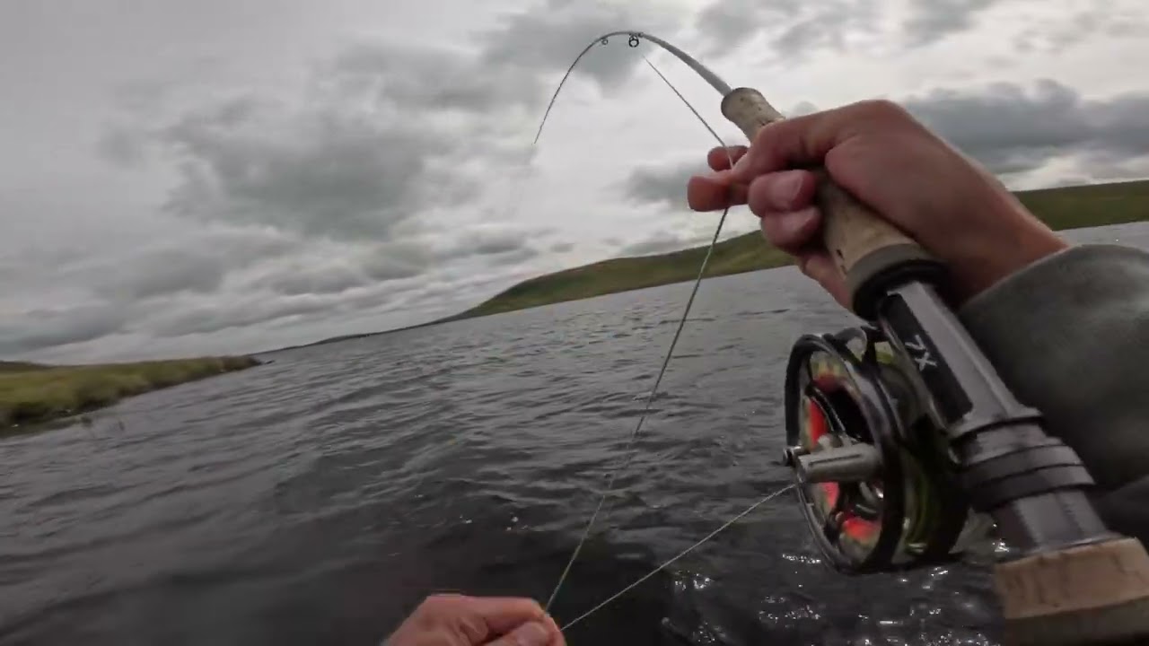 Brown Trout Fishing in Scotland 🏴󠁧󠁢󠁳󠁣󠁴󠁿 #fishing #flyfishing #flytying #scotland #troutfishing