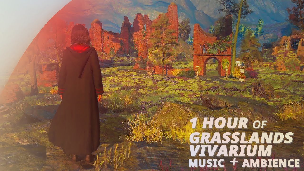 1 Hour Grasslands Vivarium Music & Ambience | Hogwarts Legacy ASMR