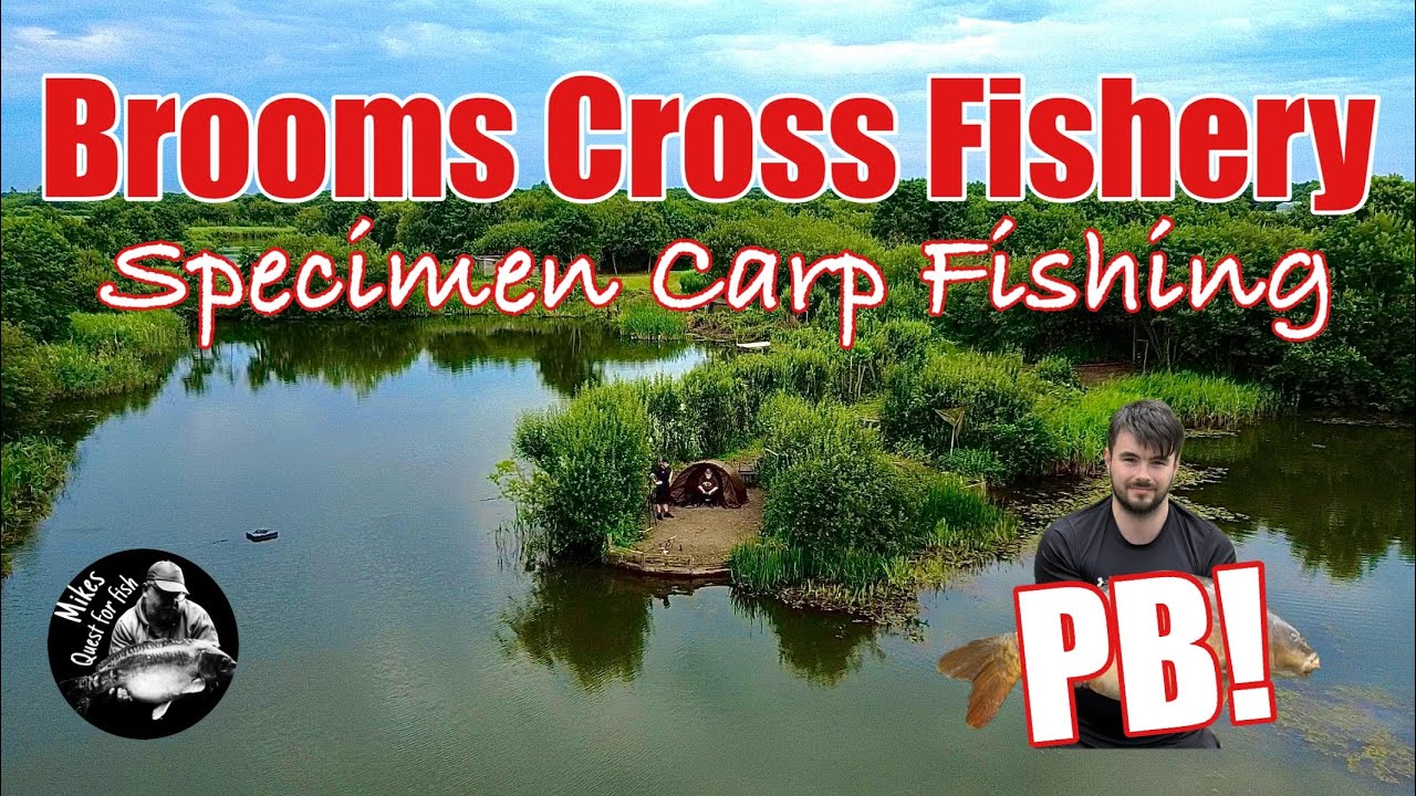 Scorching Session! PB Mirror Carp on the Hottest Day – Brooms Cross Fishery specimen Carp Fishing