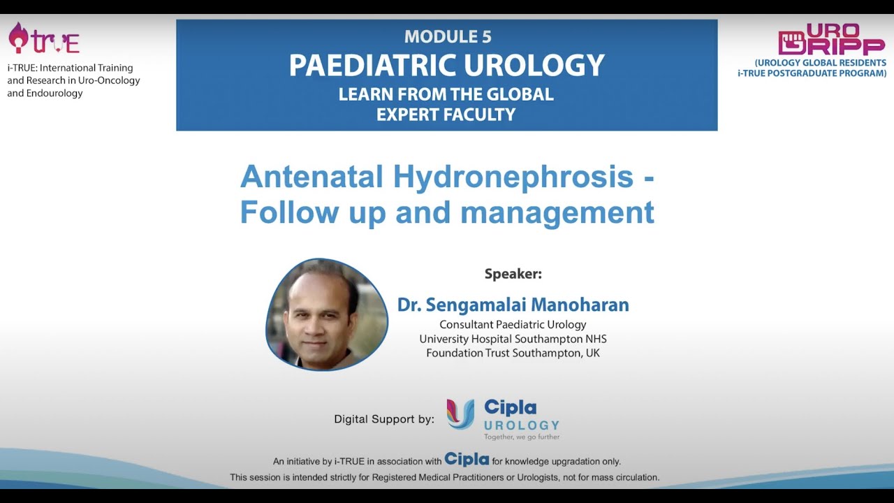 Antenatal Hydronephrosis; Follow-up & Management; Ultrasound; Megaureter Duplex Kidneys; Ureterocele