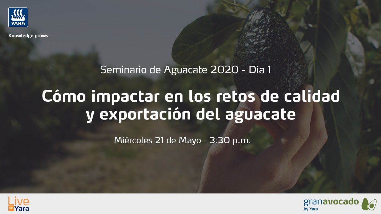 Seminario de Aguacate 2020 - Día 1