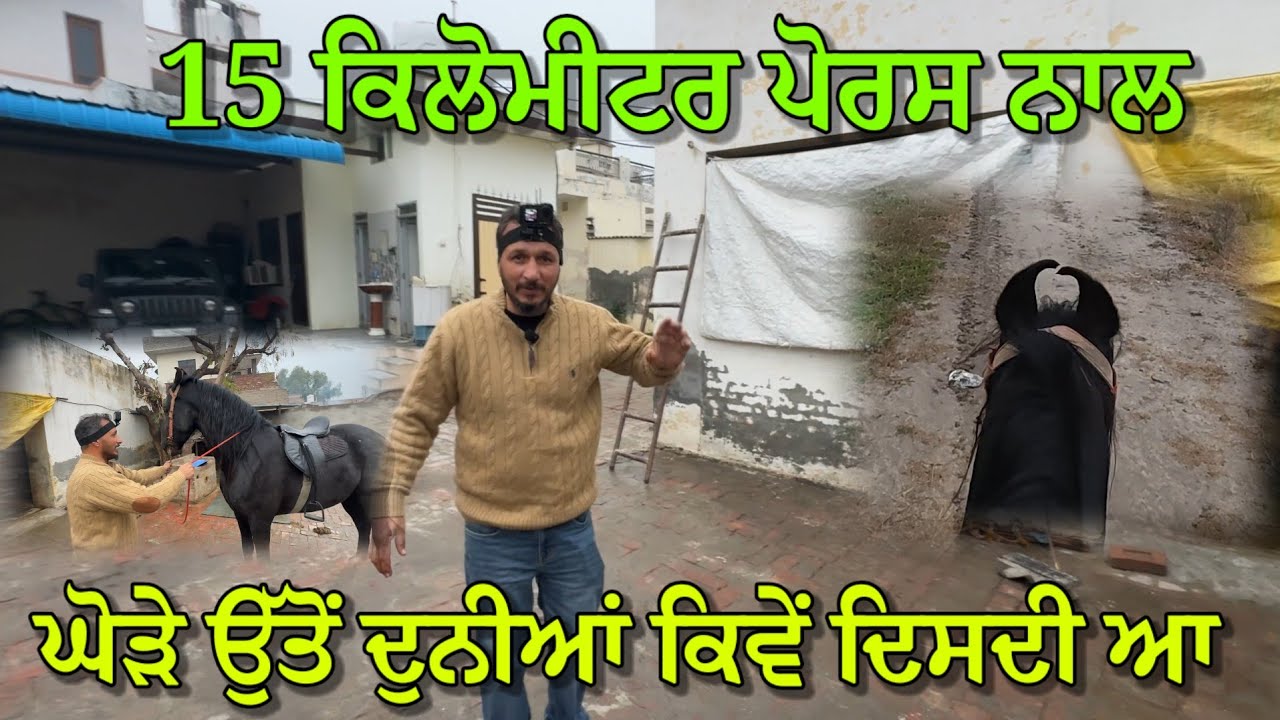 15 ਕਿਲੋਮੀਟਰ ਸਫ਼ਰ ਪੋਰਸ ਨਾਲ,, ਕਿਵੇਂ ਦਿਸਦੀ ਆ ਘੋੜੇ ਦੇ ਉੱਤੇ ਬੈਠੇ ਤੋਂ ਦੁਨੀਆਂ 