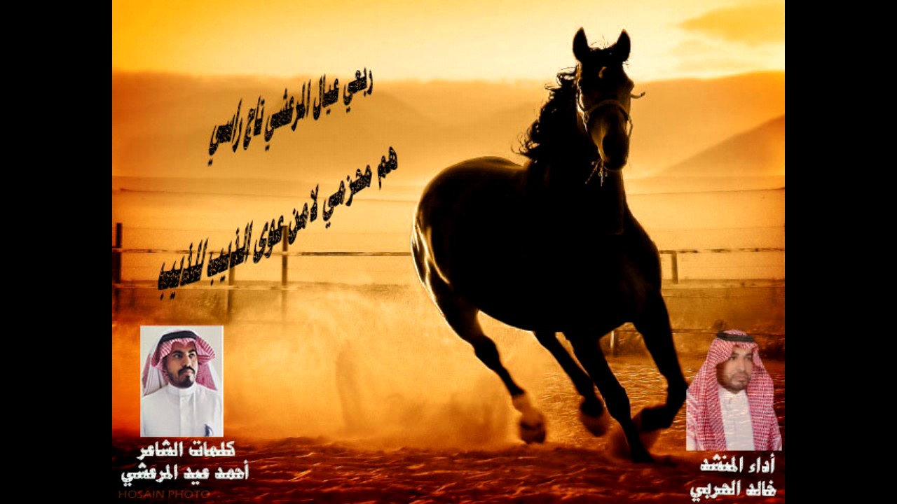 شيلة المرعشي