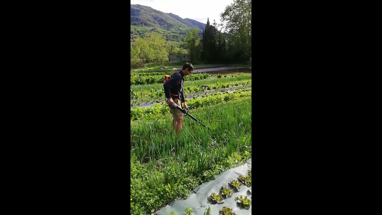 Bineuse E-Maraichage