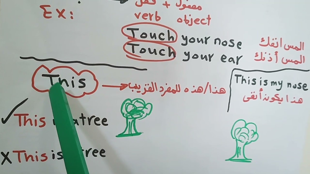شرح قواعد اولي ابتدائي اول 3 وحدات Grammer connect 1