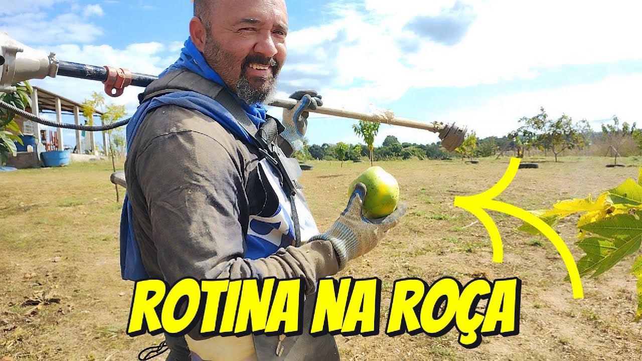 A Realidade de Quem Mora Na Ro&ccedil;a! 🌿🚜🐔
