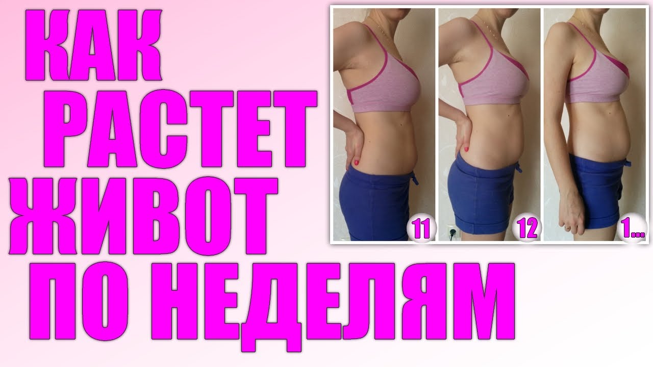 КАК РАСТЕТ ЖИВОТ У БЕРЕМЕННЫХ  1-40 НЕДЕЛЯ