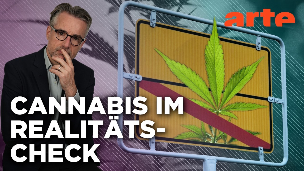Kiffen erlaubt – Was bringt's? | Agree to Disagree! | ARTE