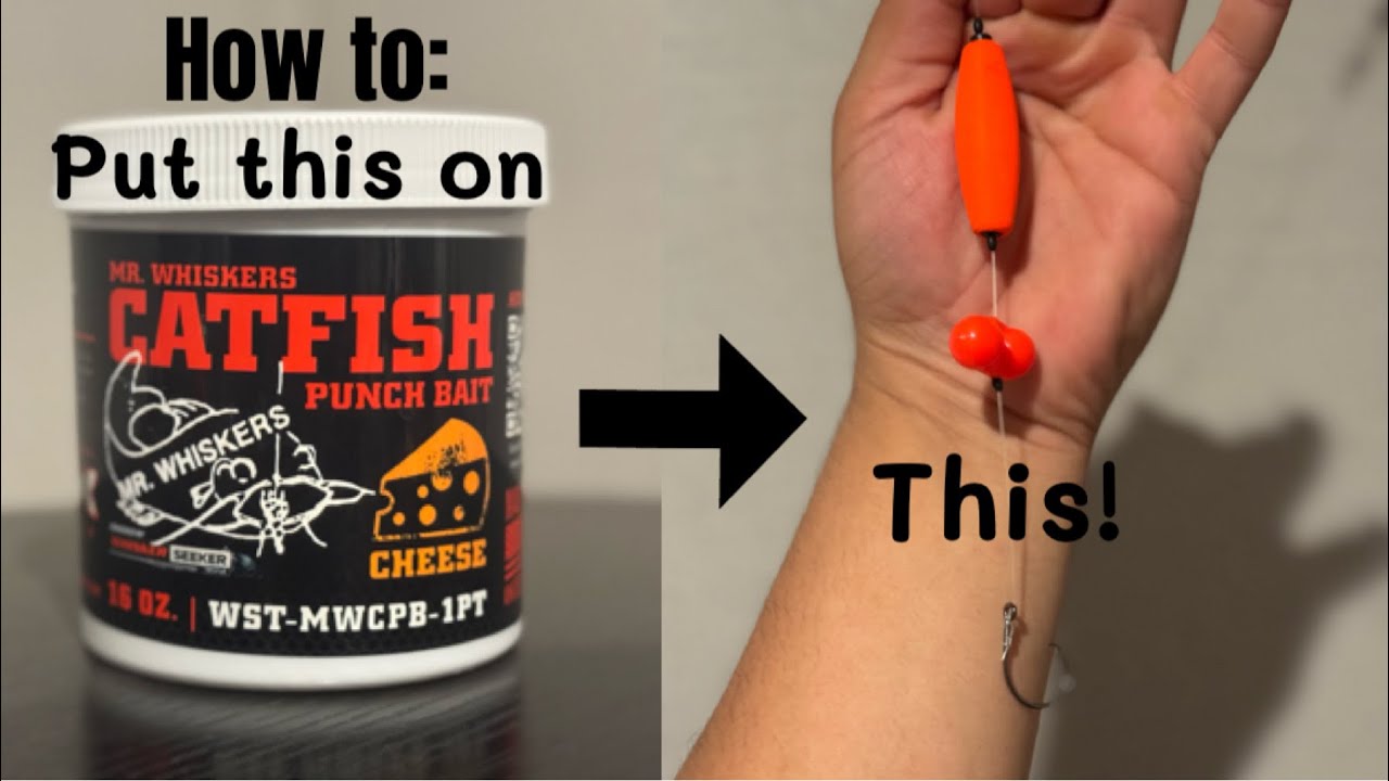 How to use punch bait on a circle hook!