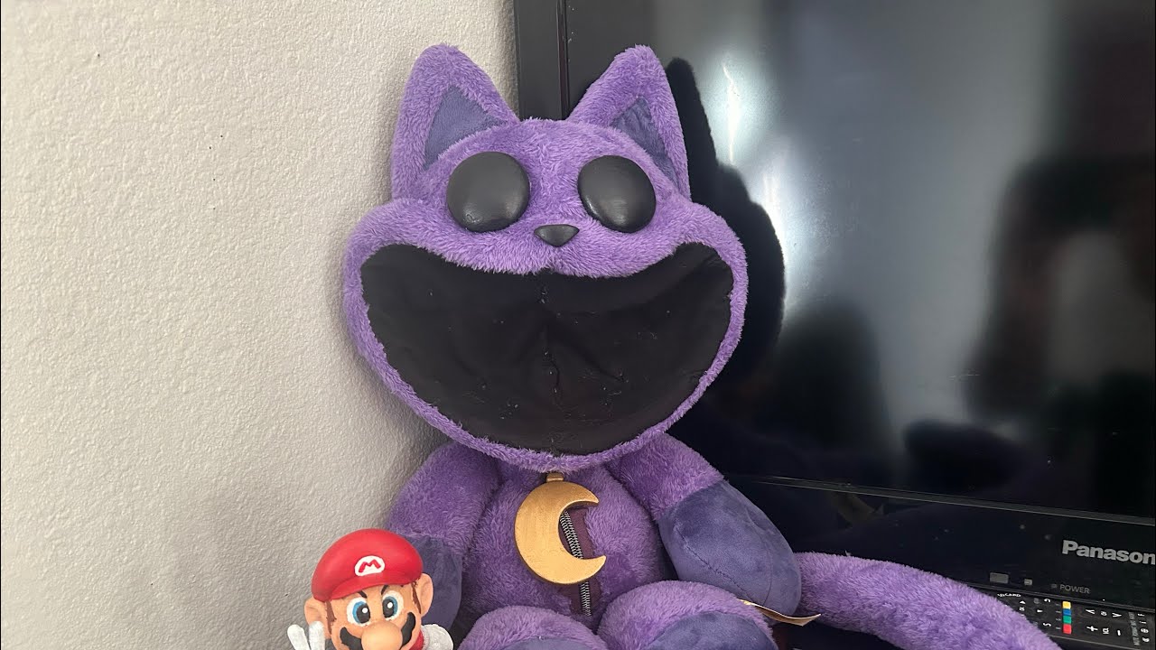 A poor description of my REAL working catnap plush