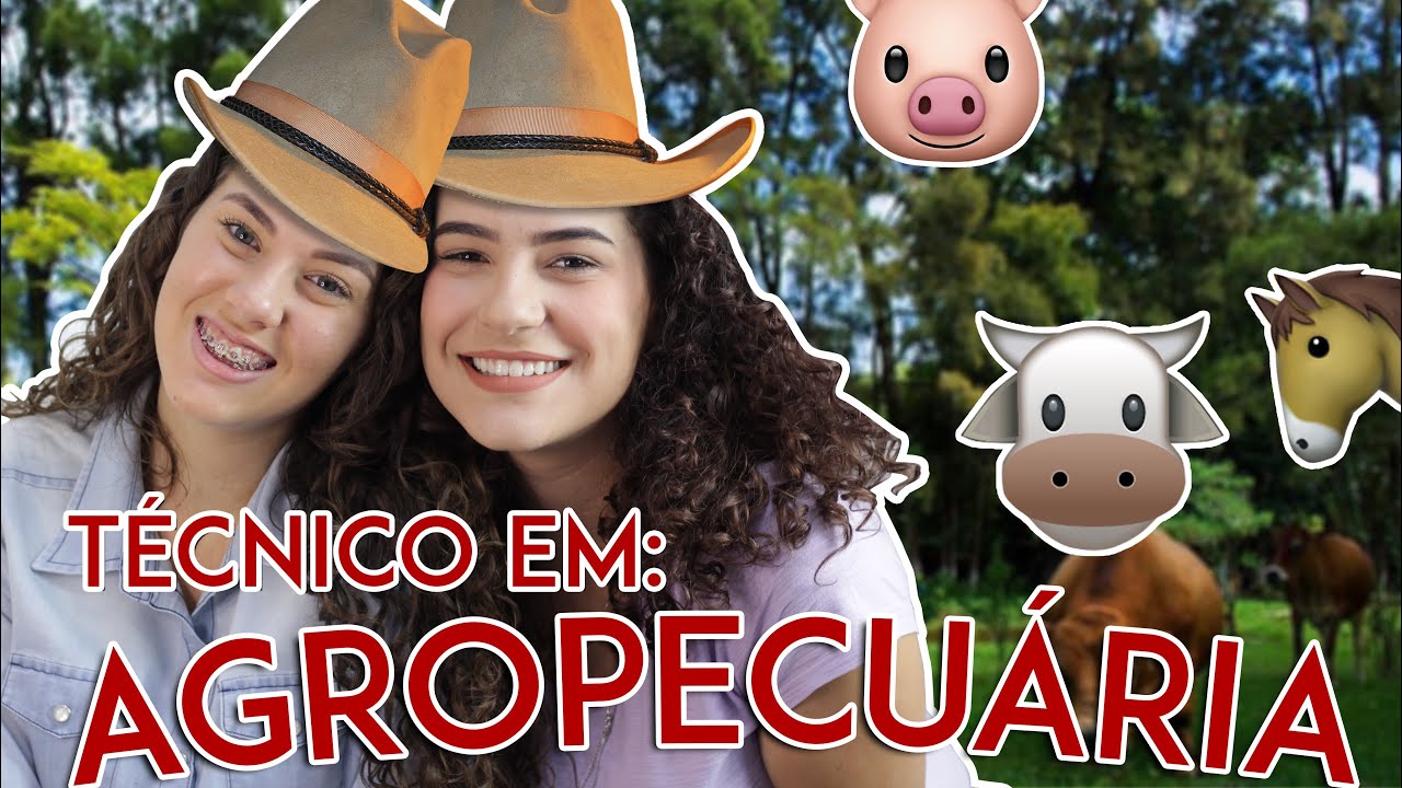 Como é o TÉCNICO em AGROPECUARIA no Instituto Federal (IF)