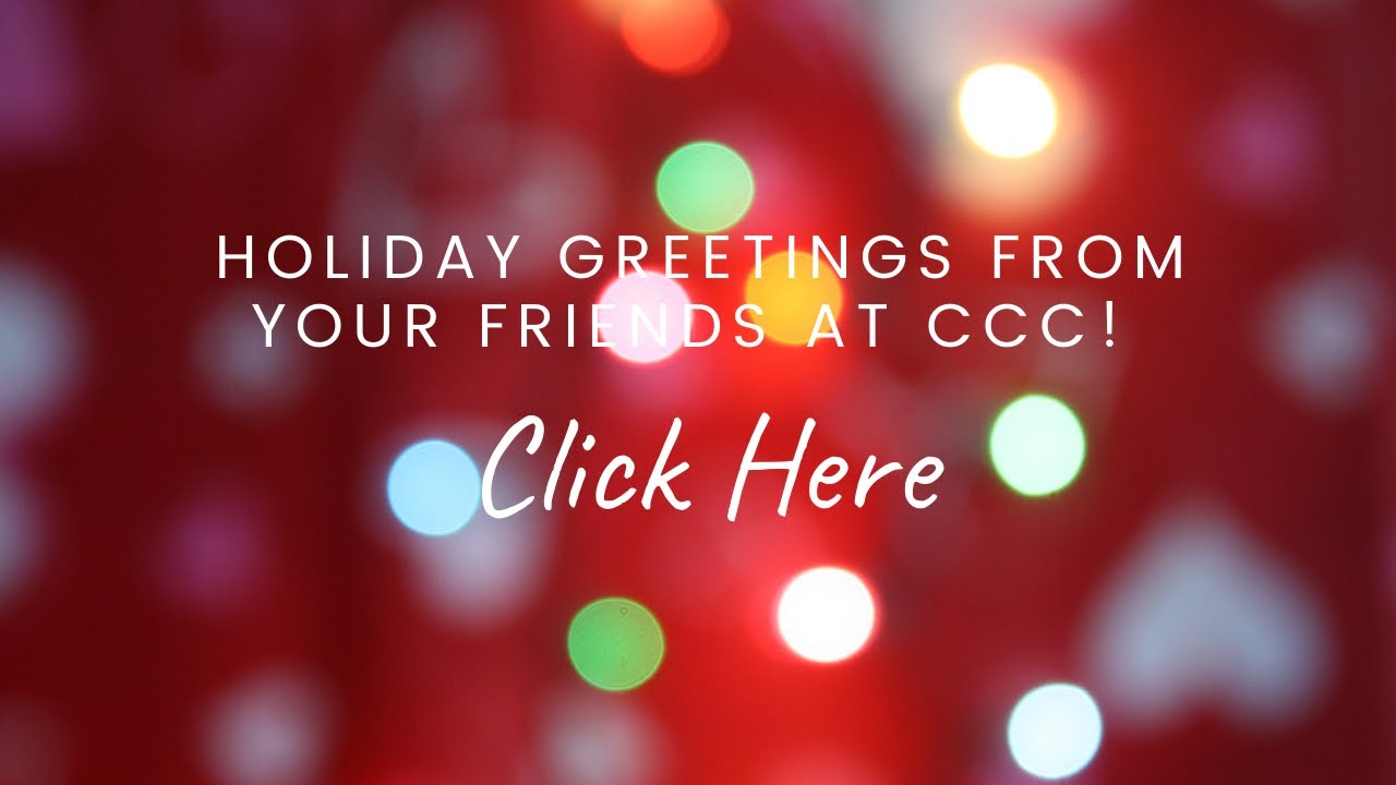 Cat Care Clinic Holiday 2020
