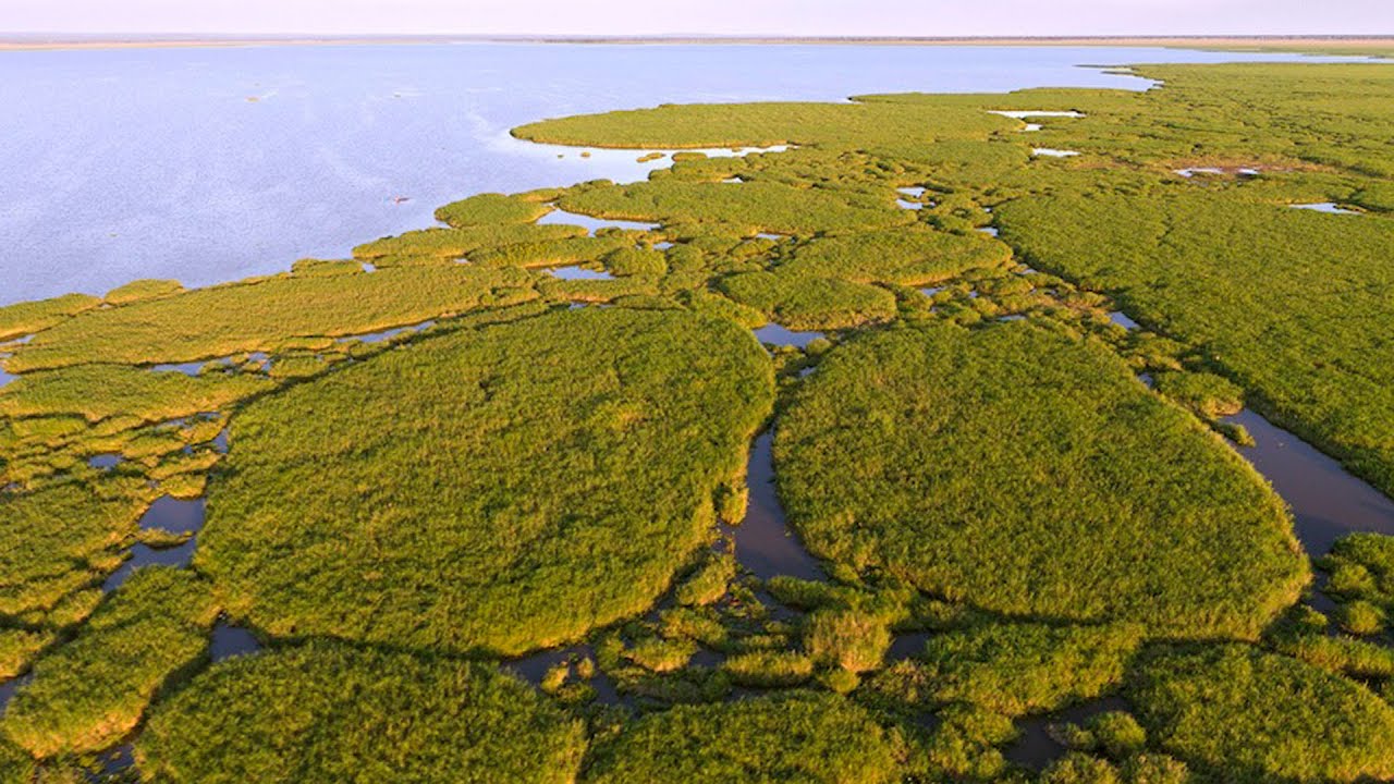 Gorongosa National Park | Africa's Greatest Wildlife Restoration