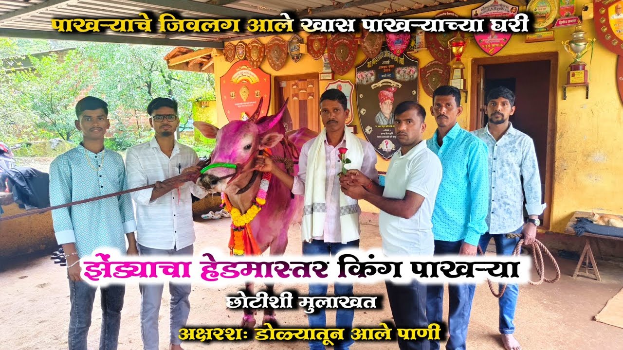 पाखऱ्याचे जिवलग आले खास पाखऱ्याच्या घरी || एक छोटीशी मुलाखत