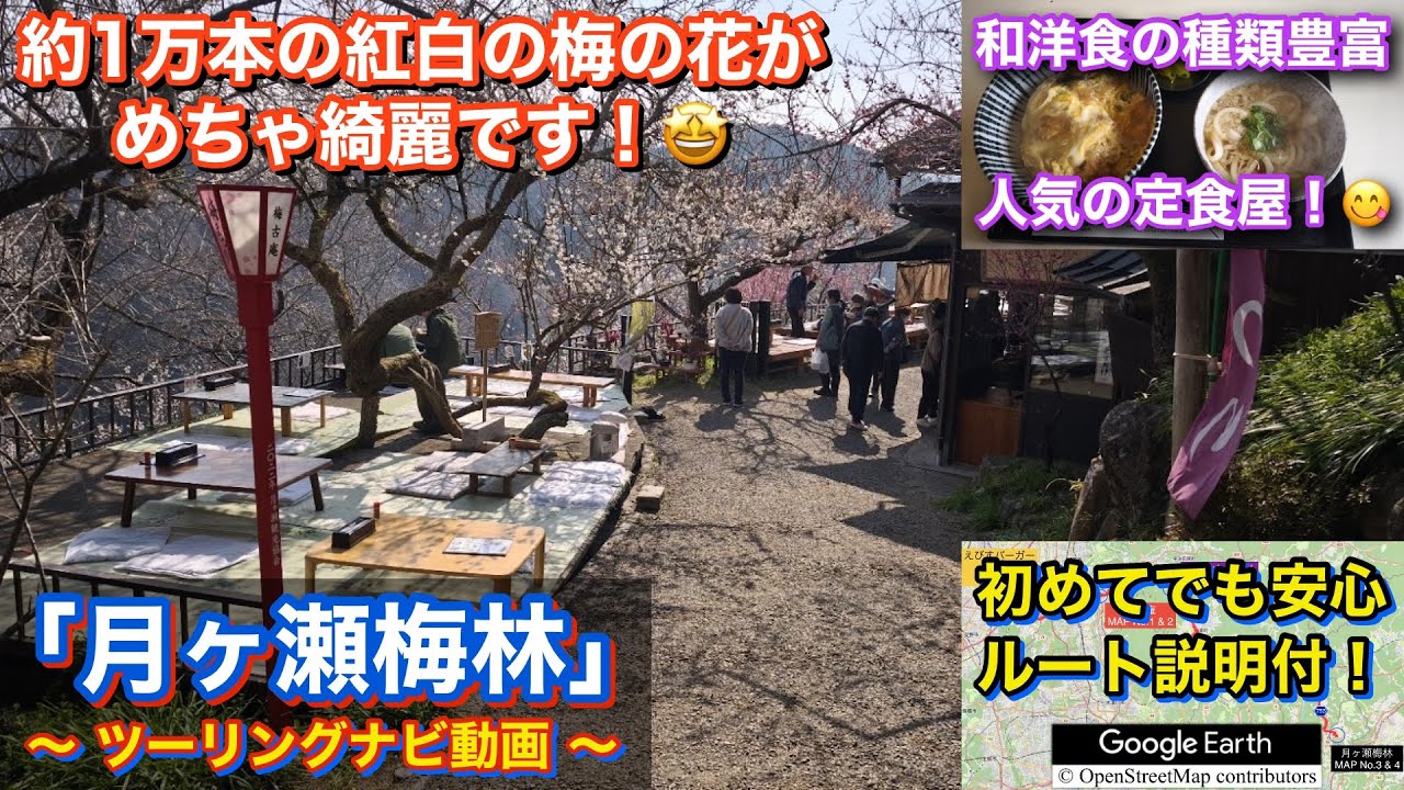 紅白の梅の花や食事も楽しめる！月ヶ瀬梅林へ行くツーリングルート紹介動画「No.66」