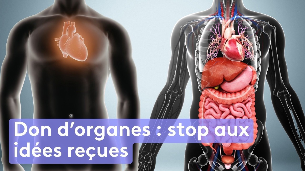 Don d’organes : halte aux idées reçues ! - Mieux ou Bien ?
