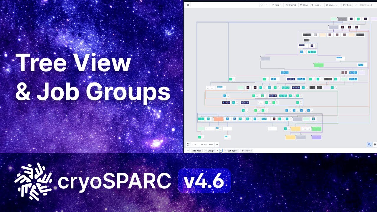 Tree View and Job Groups in CryoSPARC v4.6
