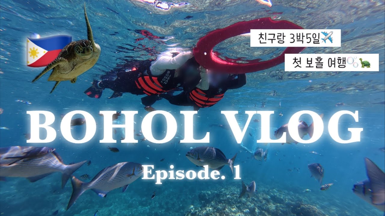 𝗩𝗟𝗢𝗚 | 🇵🇭친구랑 3박5일 보홀 여행 ✈️ 1편  | 삼시세끼 맛집 탐방🍴 | 발리카삭 호핑투어 | 나팔링투어 정어리떼 |  0.5박 라메디 | 모달라 | 필리핀 휴양지